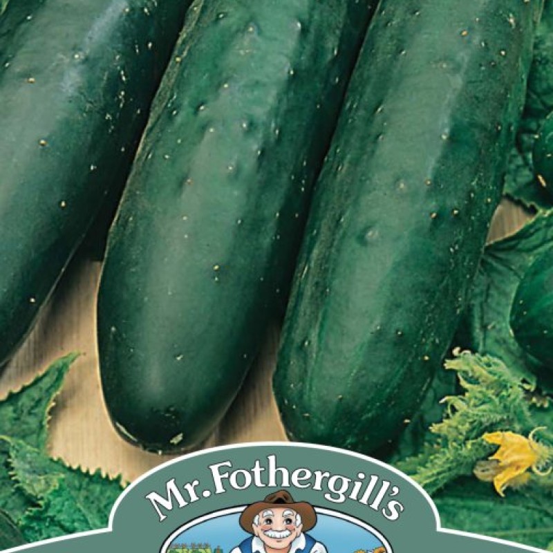 CUCUMBER Marketmore 76