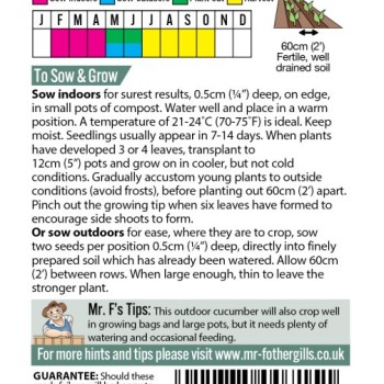 CUCUMBER Marketmore 76