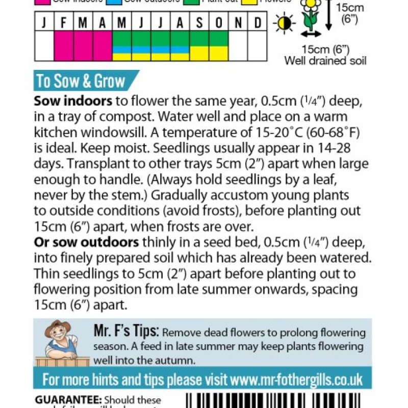PANSY Cool Summer Breeze