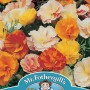 CALIFORNIAN POPPY Monarch Art Shades