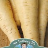 PARSNIP Countess F1