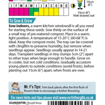 LOBELIA String of Pearls