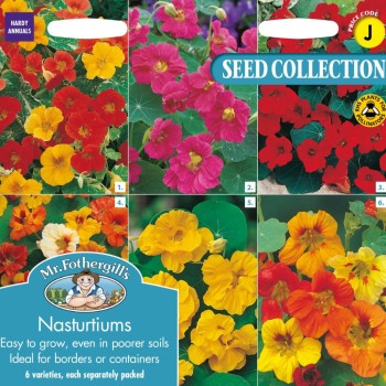NASTURTIUM COLLECTION