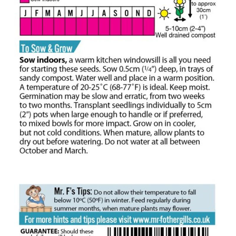 CACTUS Flowers of The Desert