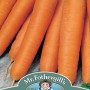 CARROT Nantes 5