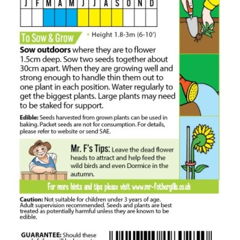 FS RAY OF SUNSHINE Sunflower