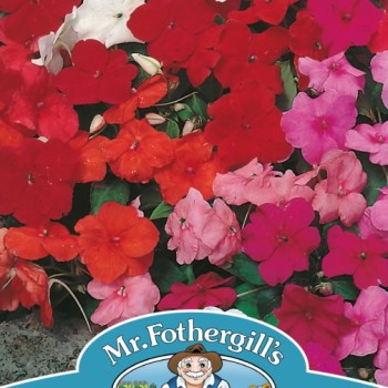 BUSY LIZZIE Safari Mixed F2