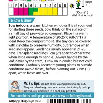 BUSY LIZZIE Safari Mixed F2