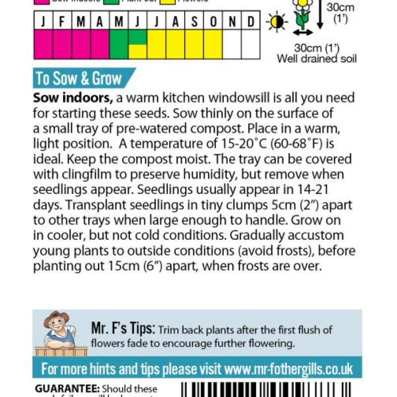 LOBELIA Cascade Mixed