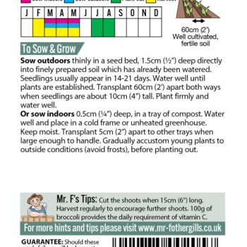 BROCCOLI (Sprouting) Early Purple