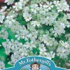GYPSOPHILA Monarch White