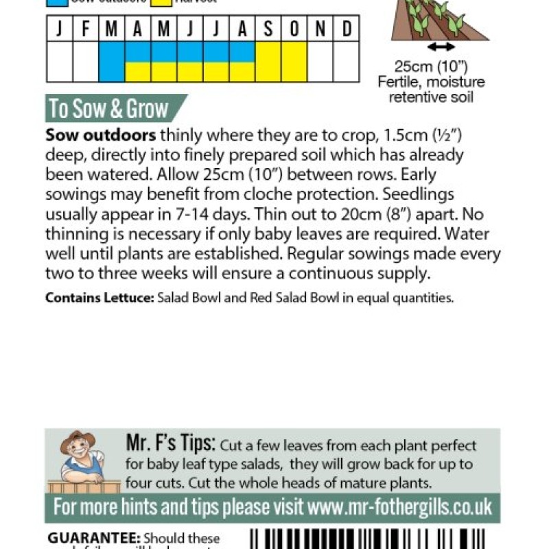 LETTUCE Salad Bowl Red & Green Mixed