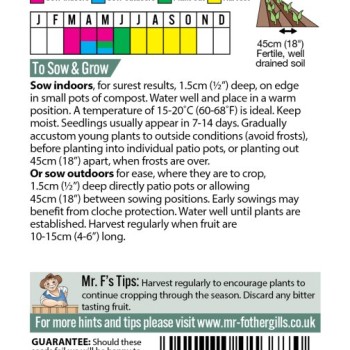 COURGETTE Midnight F1