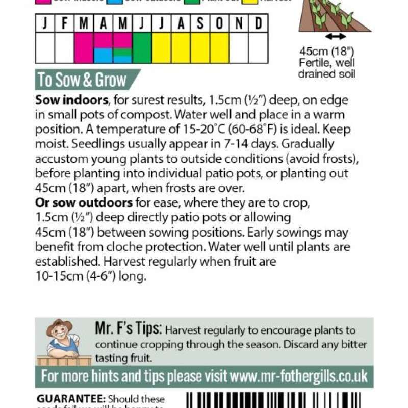 COURGETTE Midnight F1