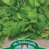 CORIANDER Calypso