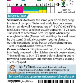 PANSY Swiss Giants Mixed