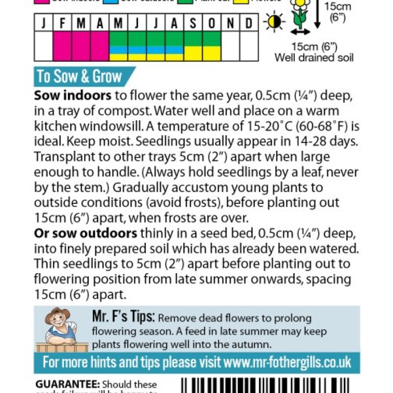 PANSY Swiss Giants Mixed