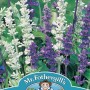 SALVIA Blue & White Mixed