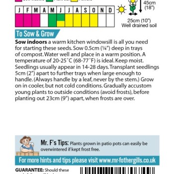 SALVIA Blue & White Mixed