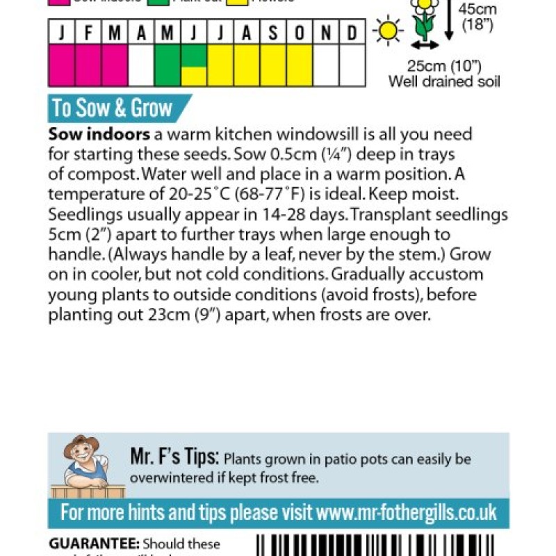 SALVIA Blue & White Mixed