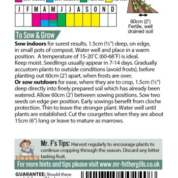 COURGETTE Firenze F1