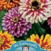 ZINNIA Whirlygig Mixed