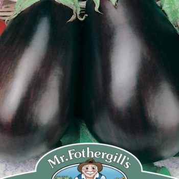 AUBERGINE Black Beauty