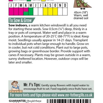 AUBERGINE Black Beauty