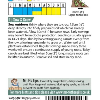 CARROT (Baby Chantenay) Cascade F1