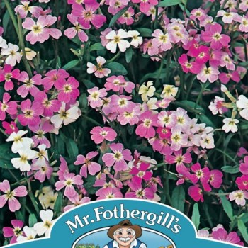 STOCK Virginian Mixed