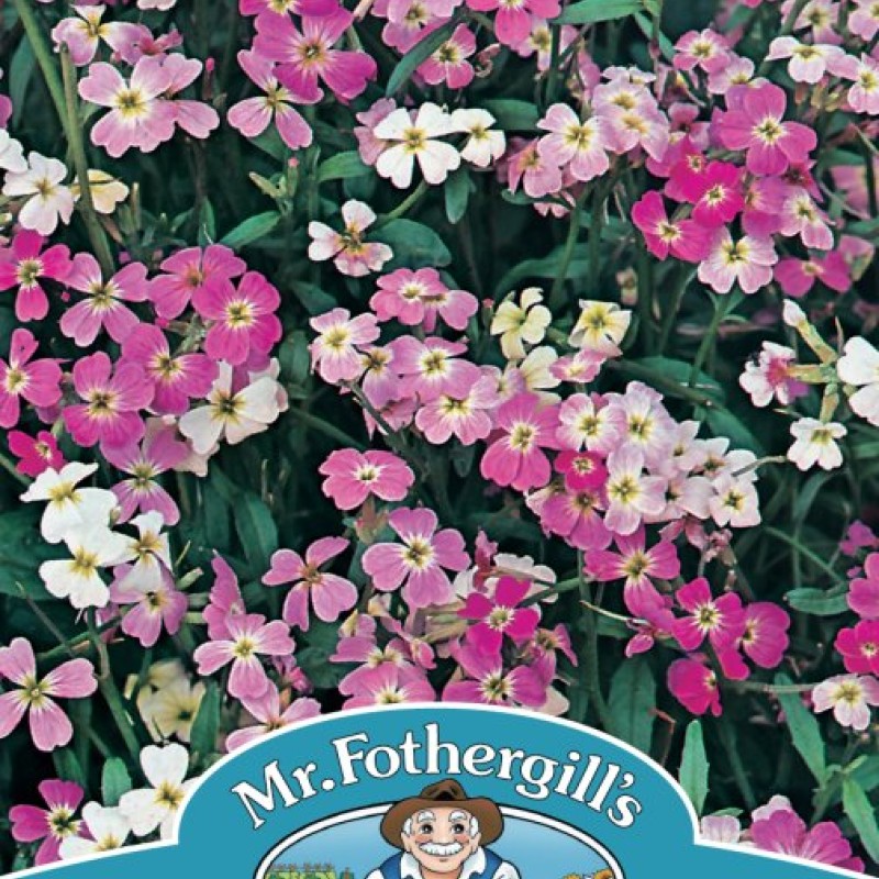 STOCK Virginian Mixed