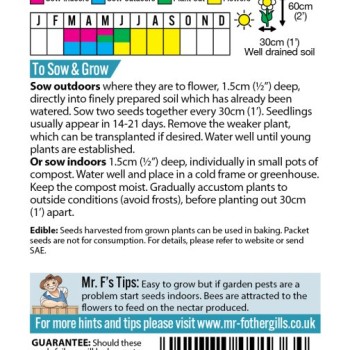 SUNFLOWER Little Dorrit F1