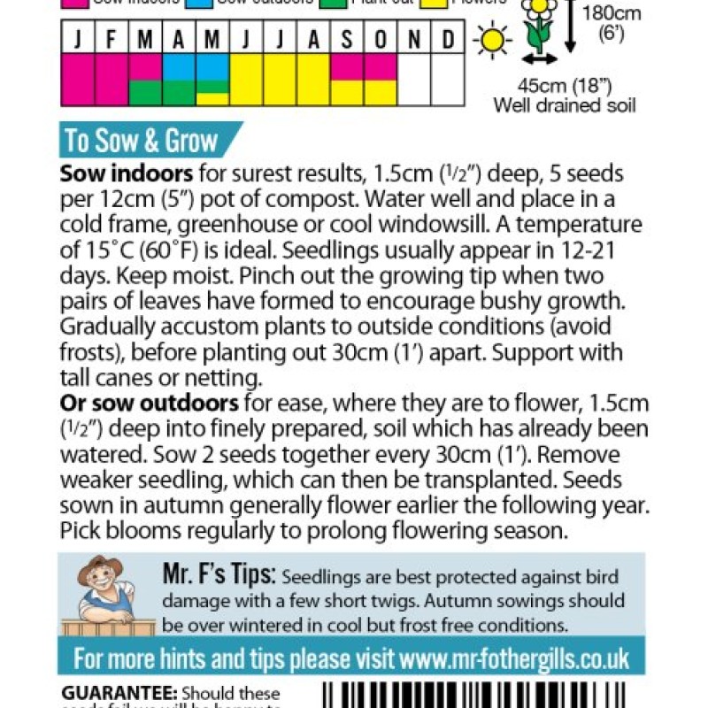 SWEET PEA Cupani (grandiflora)