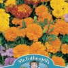 MARIGOLD (French) Bonita Mixed
