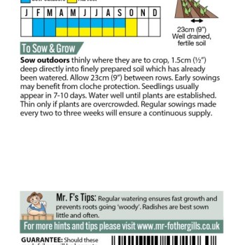 RADISH French Breakfast 3