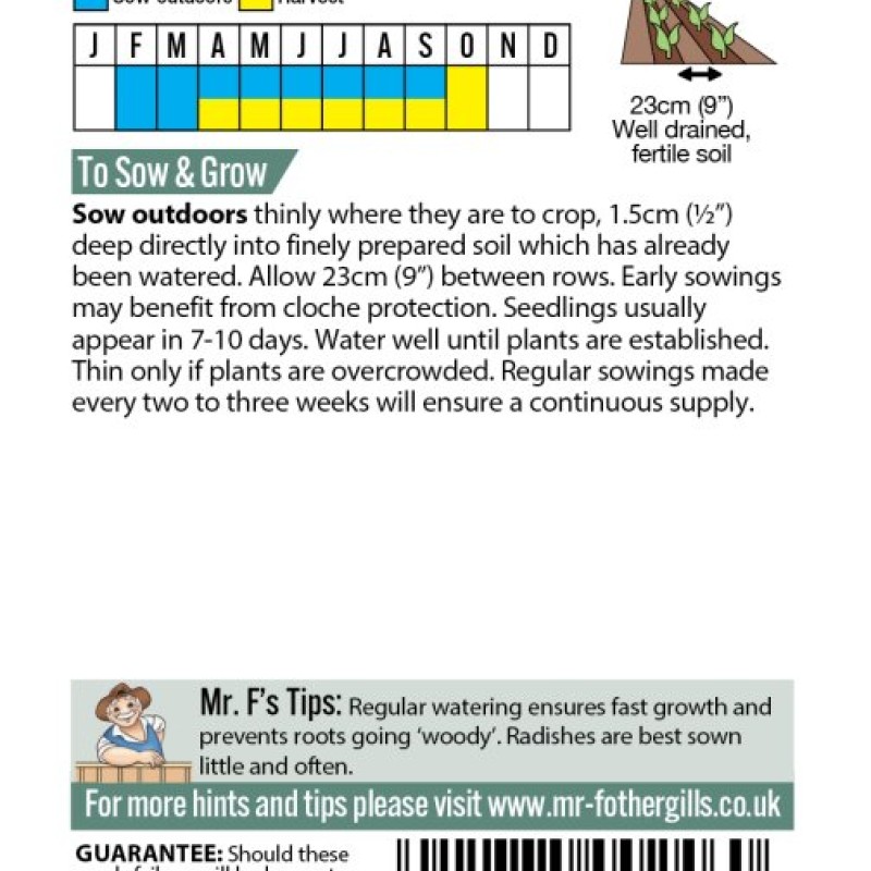 RADISH French Breakfast 3