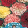 CARNATION Choice Double Mixed