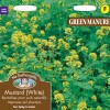 GREEN MANURE Mustard (White)