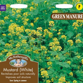 GREEN MANURE Mustard (White)