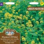 GREEN MANURE Mustard (White)