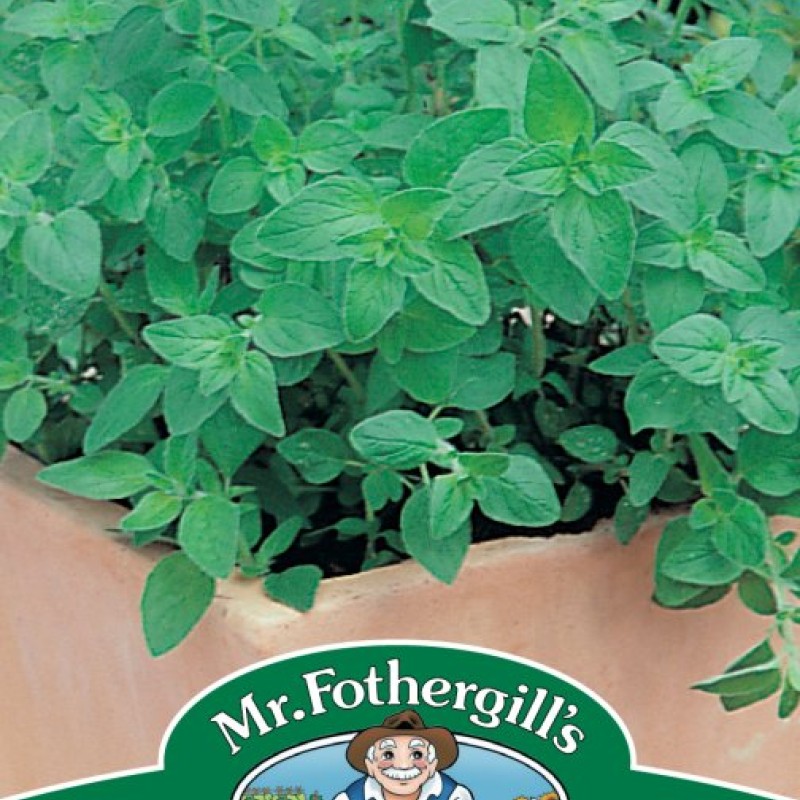 OREGANO (Greek)