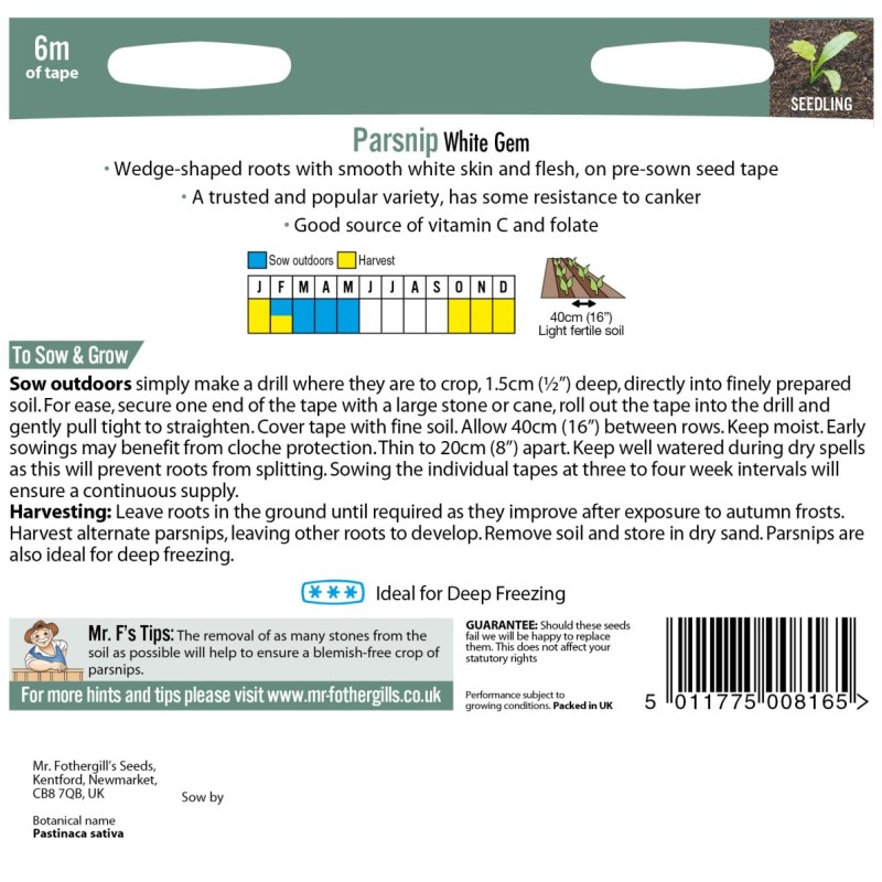 TAPE PARSNIP White Gem