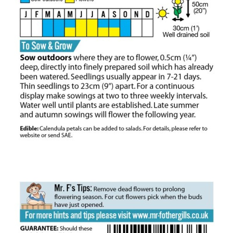 CALENDULA Funky Stuff
