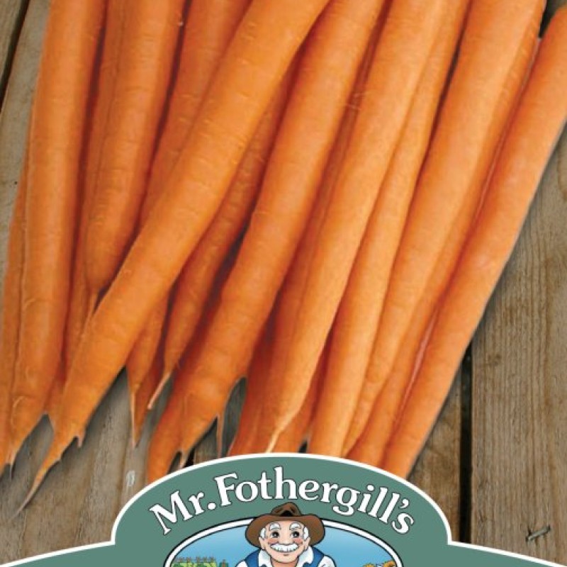 CARROT Sugarsnax 54 F1