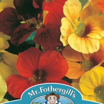 NASTURTIUM Tip Top Mixed