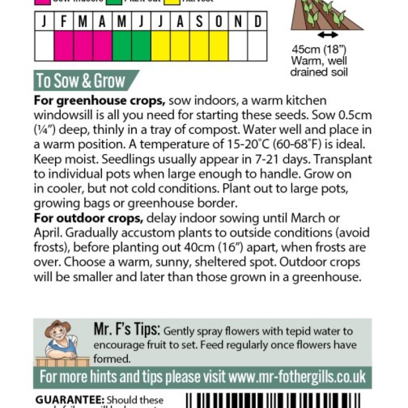 PEPPER (Sweet) California Wonder