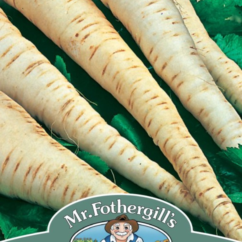 PARSNIP Tender and True