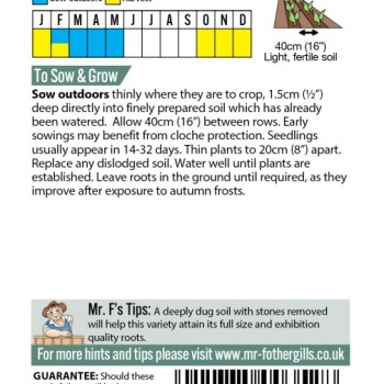 PARSNIP Tender and True