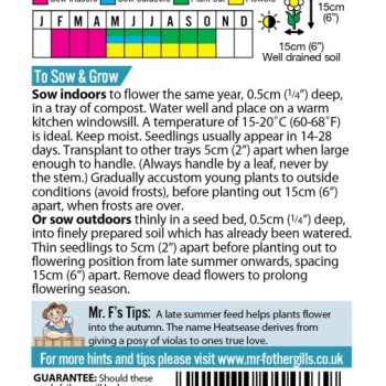 VIOLA Johnny Jump Up