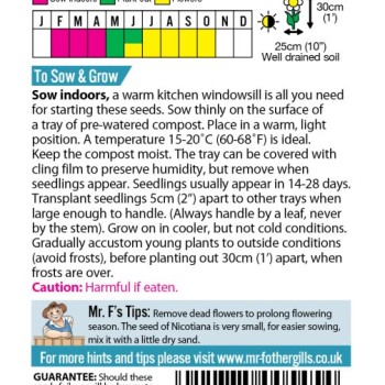 TC : SILVER STUD EARRINGS CLEAR STONE 9MM